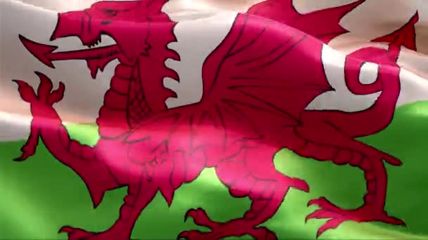 Wales Flagga Viftar Vinden Full Med Hög Upplösning Looping Video — Stockvideo
