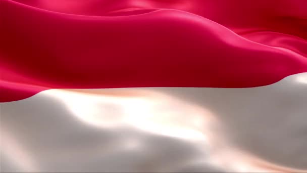 Flaga Monako Macha Wietrze Wysoka Rozdzielczość Full Pętla Wideo Flagą — Wideo stockowe
