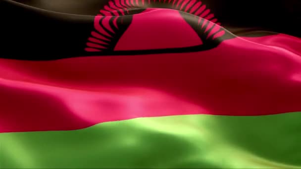Malawis Flagga Viftar Vinden Full Med Hög Upplösning Looping Video — Stockvideo
