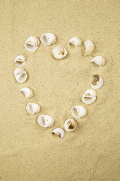 Valentine heart made with shells on sand background — Stok Foto