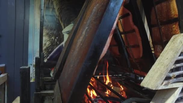 冬の見本市の火の上に唾を吐く鯉 — ストック動画