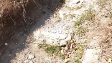 Yürüyüş yolunun yanındaki uzak bir taş kule manzarası..