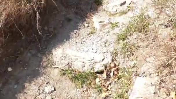 Vue d'une vieille tour de pierre isolée à côté d'un sentier de randonnée .