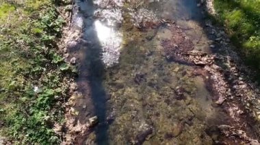 İlkbaharın başlarında ormanın yakınındaki dağda küçük bir derede temiz su..