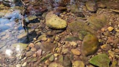 İlkbaharın başlarında ormanın yakınındaki dağda küçük bir derede temiz su..