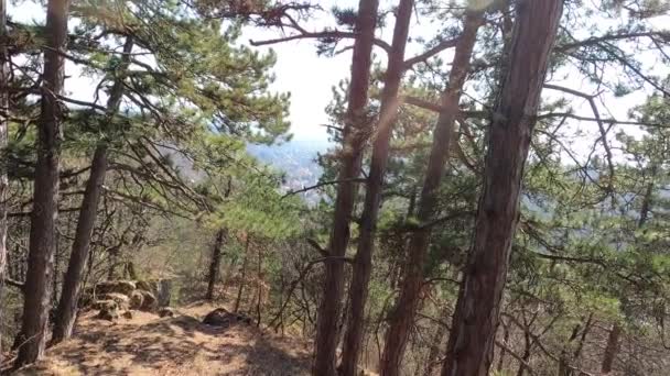 Vue à travers la forêt et les arbres sur la montagne et la vallée au printemps .