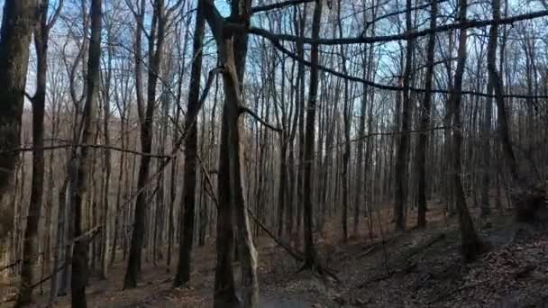 Randonnée dans les bois avec une route balisée et de beaux paysages au début du printemps par une journée ensoleillée .
