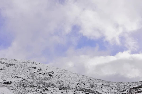 Ein Detail Eines Wintertages Estrela Gebirge Zentralportugal — Stockfoto