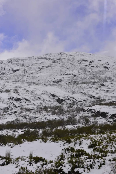 Ein Detail Eines Wintertages Estrela Gebirge Zentralportugal — Stockfoto