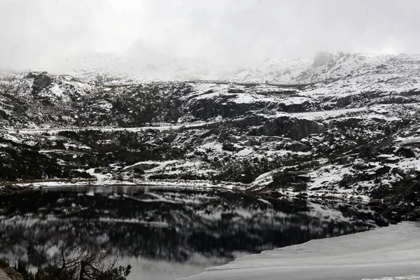 Een Detail Van Een Winterdag Het Estrela Gebergte Centraal Portugal — Stockfoto