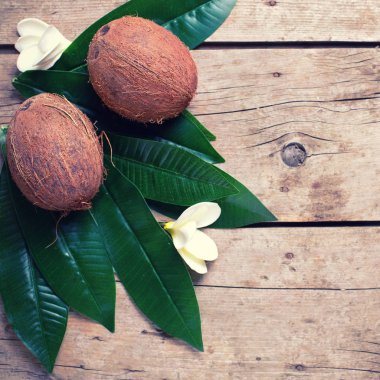 Yapraklarda olgunlaşmış hindistancevizi