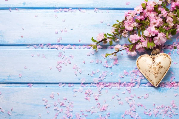 Sakura blommor och dekorativa hjärta — Stockfoto