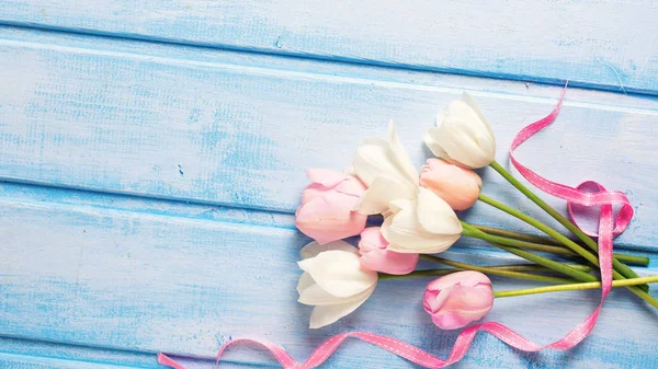 Tulipanes de primavera blancos y rosados — Foto de Stock