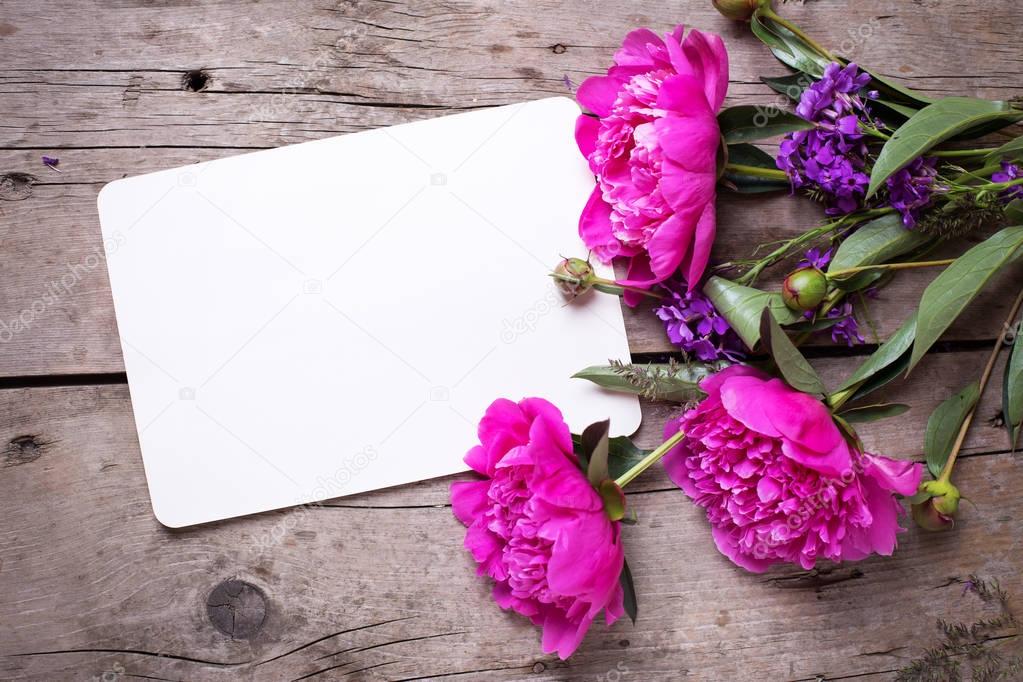 pink peonies flowers  and empty tag 