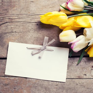 Sarı ve beyaz bahar laleler 