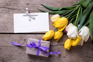 Sarı ve beyaz bahar laleler 