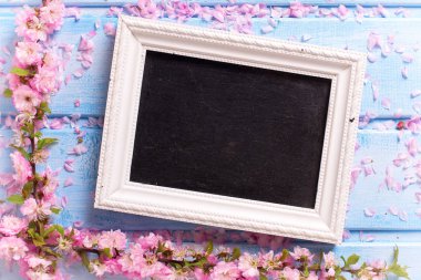 pembe çiçekler ve boş yazı tahtası 