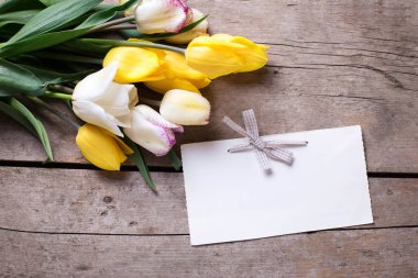 Sarı ve beyaz bahar laleler 