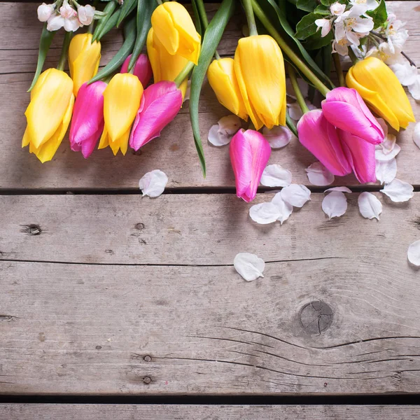 Våren tulpaner och apple tree blommor — Stockfoto