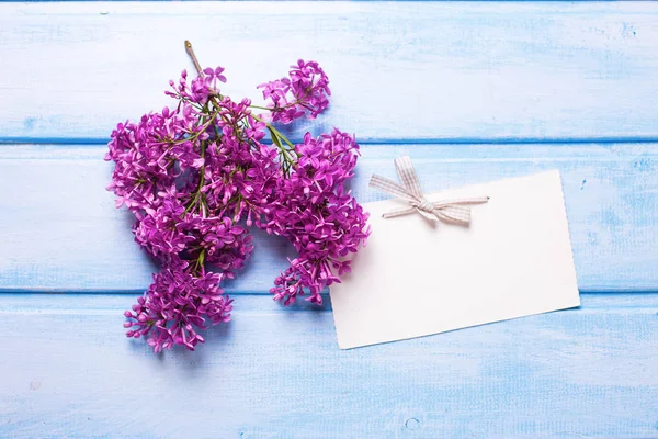 Flores lila frescas y etiqueta vacía — Foto de Stock