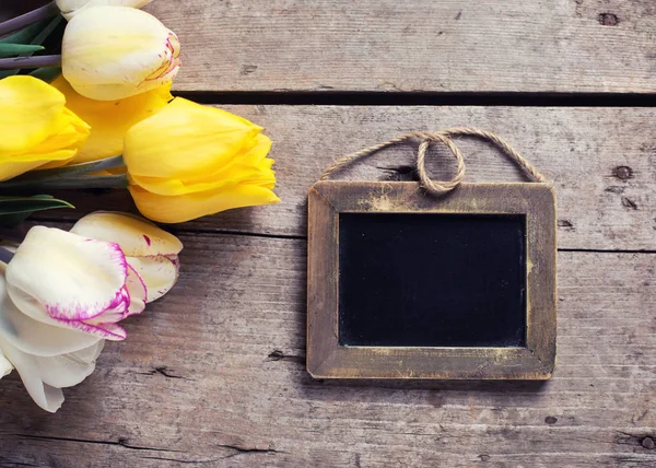 Tulipas de primavera amarelas e brancas — Fotografia de Stock