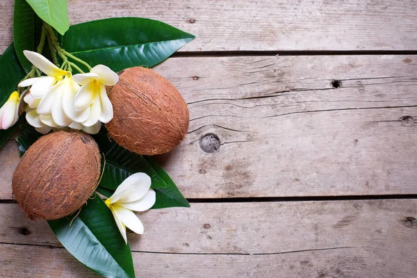 Två kokosnötter på blad och plumeria blommor — Stockfoto