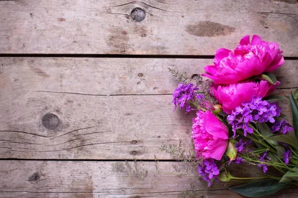 Flores de peônias rosa — Fotografia de Stock
