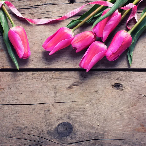 Tulipanes rosados brillantes de primavera — Foto de Stock