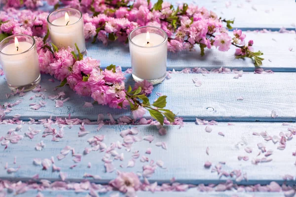 Sakura fiori rosa e candele — Foto Stock