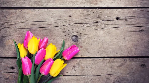 Heldere gele en roze lente tulpen — Stockfoto