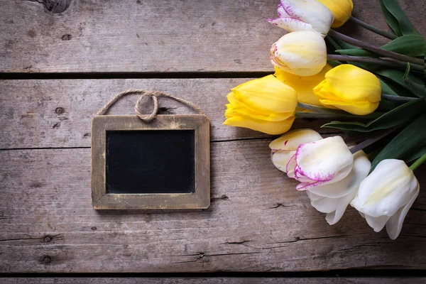 Tulipas de primavera amarelas e brancas — Fotografia de Stock