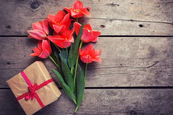 Banda korálové tulipány a zabalená krabice — Stock fotografie