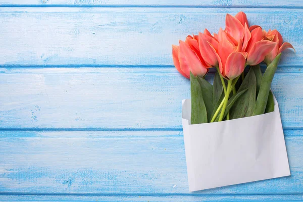 Korálové tulipány v bílé obálce — Stock fotografie