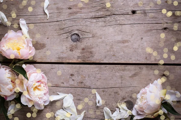 Gränsa från Rosa pioner blommor — Stockfoto