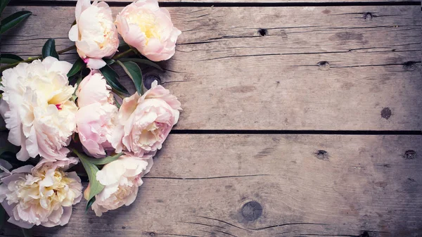Bouquet de pivoines roses fleurs — Photo