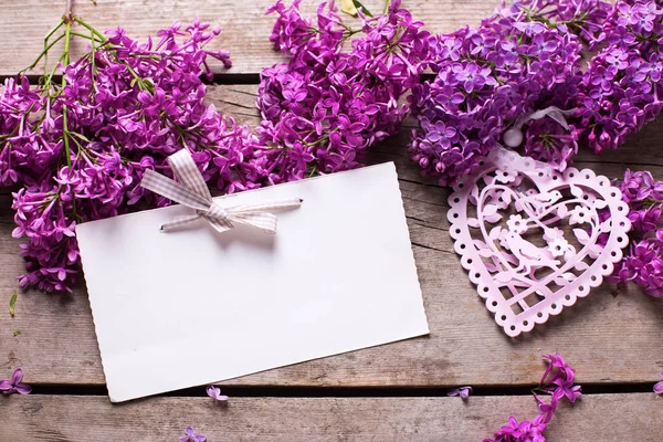 Flores lilás violetas frescas — Fotografia de Stock