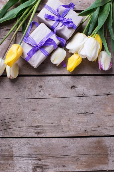 Tulipes printanières jaunes et blanches — Photo