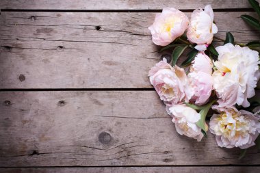 Pembe peonies çiçek demet