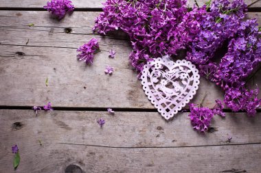 Eflatun çiçekler ve kalp