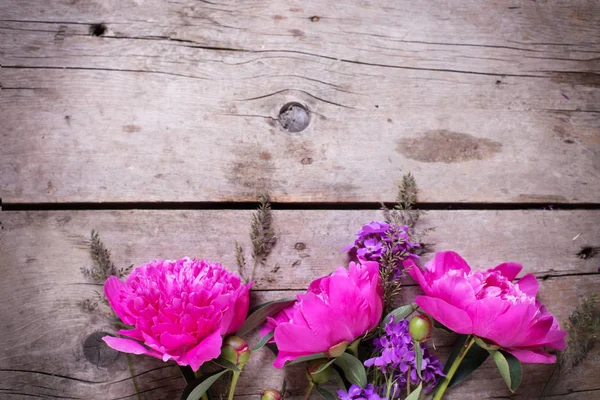 Frontera de flores de peonías rosadas — Foto de Stock