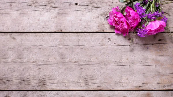Весенние розовые пионы — стоковое фото