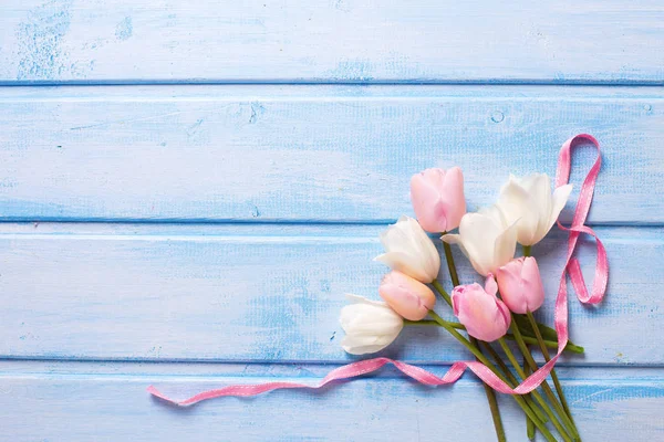 Fehér és rózsaszín tavaszi tulipán — Stock Fotó