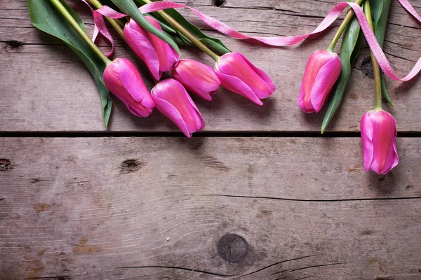 Tulipany jasny różowy wiosna — Zdjęcie stockowe