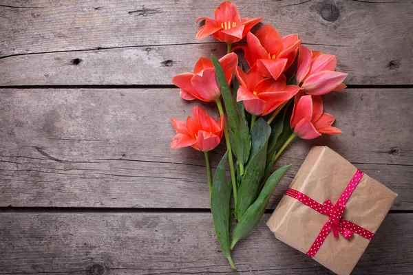 Bando de tulipas de coral e caixa embrulhada — Fotografia de Stock
