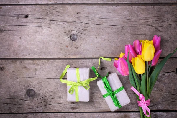 Bright yellow and pink spring tulips — Stock Photo, Image