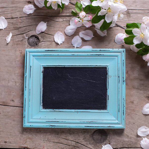 Empty blackboard  and apple tree flowers 