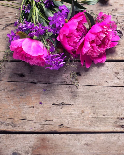 Ανοιξιάτικα λουλούδια ροζ παιώνιες — Φωτογραφία Αρχείου
