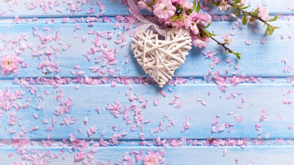 Pembe sakura çiçek ve kalp — Stok fotoğraf
