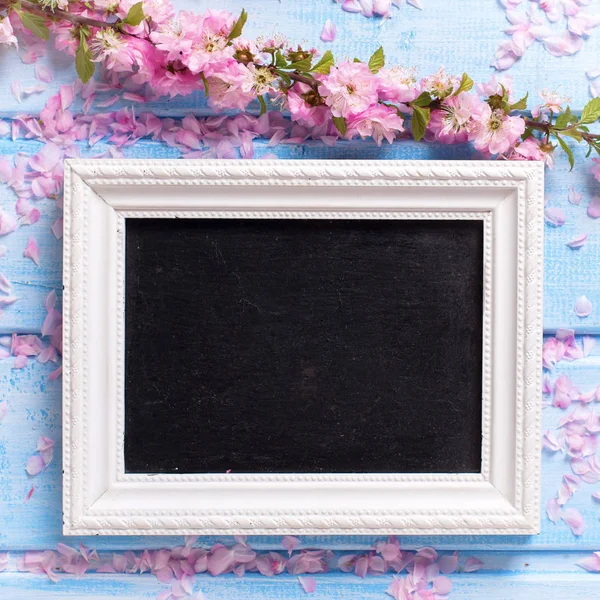 Pink flowers  and empty blackboard — Stock Photo, Image