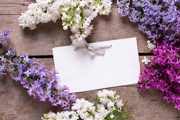 Flores lilás aromáticas e etiqueta vazia — Fotografia de Stock